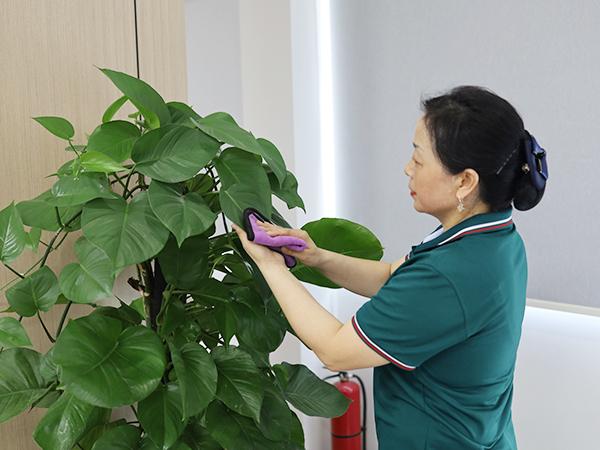 辦公室保潔主要做些什么？