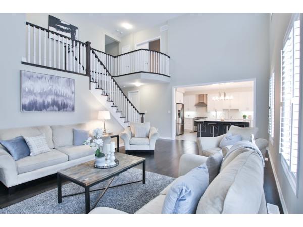 深圳園區(qū)保潔與綠化養(yǎng)護(hù)一站式服務(wù)：打造高品質(zhì)園區(qū)環(huán)境